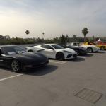 Peterson2023_017 (February 05, 2023)